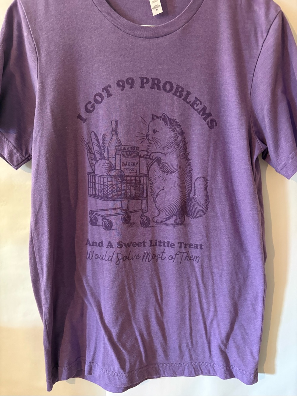 Purple Graphic Tee "I Got 99 Problems"